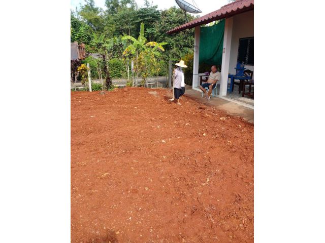 ต้องการขายที่ดินพร้อมบ้าน