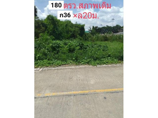 60ตรวx3แปลงติดกัน ขายรวม5.4ล้าน  ซอยเทศบาล15/1 ใกล้รร.บางบัวทอง  รร.พระแม่ฯ.วัดเล่งเน่ยยี่2 ตลาด ธนาคาร