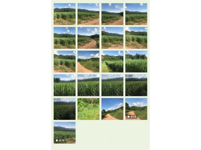 ขายที่ดินเหมาแปลง30กว่าไร่ (ส.ท.ก)(ครอบครองสิทธิ์)