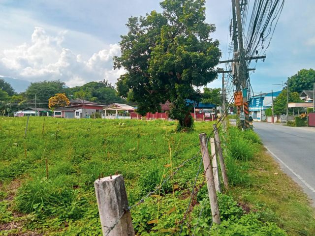 ที่ดินติดถนนหลักเส้นเลียบน้ำปิง  ป่าตัน-เชียงใหม่ ติดถนน 2 ด้าน หัวมุม วิวดอยสุเทพ'สวยๆ
