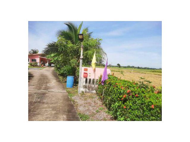 ขาย ที่ดิน 
~ TP-R 0080
~ บ้านพริก บ้านนา นครนายก 2 ไร่