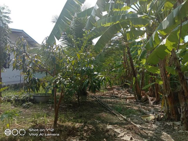 ***ขายบ้านสวนหลังโตพร้อมที่ดิน 1 ไร่ชานเมือง***