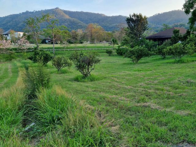 ขายที่ดินเขาใหญ่ หมูสี 391ตร.ว วิวอุทยานเขาใหญ่สวยละมุนมาก โครงการมลดา Monlada ติดเส้น3052 ใกล้ธนะรัชต์ ใกล้ทางขึ้นอุทยา