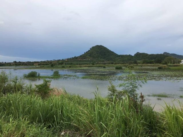 SALE | LAND 4 RAI PATTAYA_BANGSARAY Beautiful Lake View & Good Location for Pool Villa Project. Land
