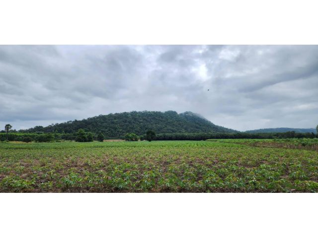 ขายที่ดิน 22 ไร่ ใกล้นิคมเกตเวย์ วิวเขาสุวรรณคีรี ทำโรงงาน หมู่บ้านจัดสรรได้ อ.แปลงยาว จ.ฉะเชิงเทรา