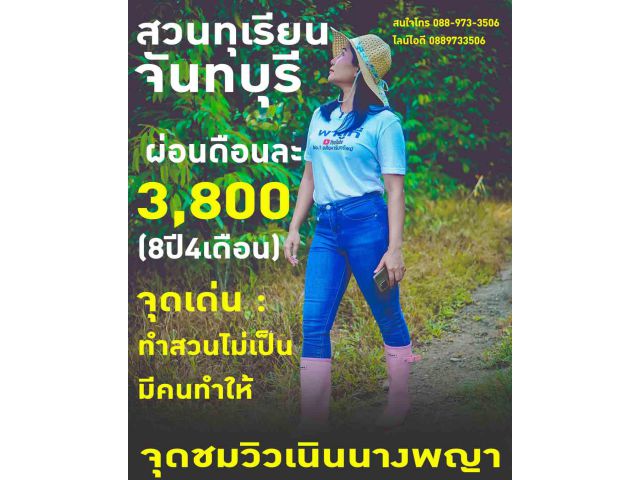 ขายที่ดินสวนทุเรียนหมอนทอง ชะนี นายายอาม จันทบุรี น้ำตกน้ำถ้ำ น้ำตกกระทิง ผ่อนรายเดือน