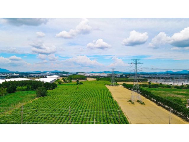 ขายที่ดิน 37-3-70.5 ไร่ ติดนิคมอีสเทิร์น เขต EEC ปลวกแดง ระยอง