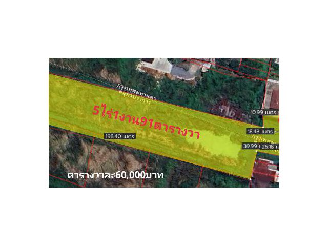 ขาย ที่ดิน ที่ดินเปล่าซอยโรงเรียนเพี้ยนพินอนุสรณ์ 5 ไร่ 1 งาน 91 ตร.วา