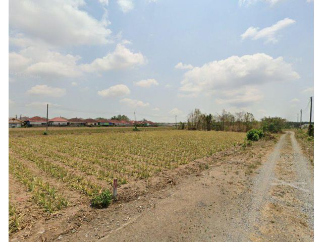 ขายที่ดินมาบข่า 336 ตรว. หลังโลตัสนิคมพัฒนา ซอยบ้านลุงเสริฐ ใกล้ถ.3375 - 450 เมตร อ.นิคมพัฒนา ระยอง