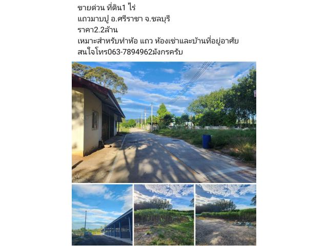 ขายด่วน ที่ดิน1 ไร่  แถวมาบปู อ.ศรีราชา จ.ชลบุรี ราคา2.2ล้าน เหมาะสำหรับทำห้อ แถว ห้องเช่าและบ้านที่อยู่อาศัย