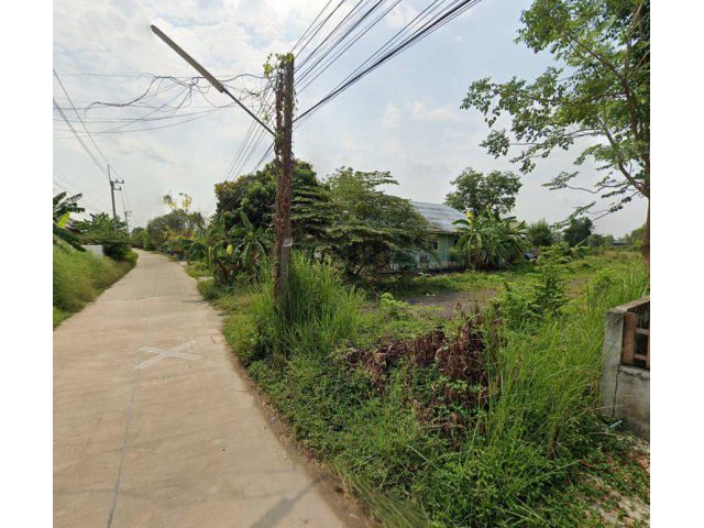 ขายที่ดินแปลงยาว 199 ตรว. ติดถนนคอนกรีต ถมแล้ว ใกล้ถ.สัตหีบ-พนมสารคาม331 - 2.8 กม. จ.ฉะเชิงเทรา