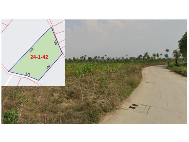 ที่ดิน 24-1-42 ไร่ หนองแขวะ ใกล้ถนน3009  และ มอเตอร์เวย์สาย7