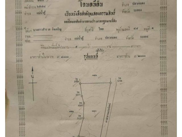 ขายด่วน.ร้อนเงินต้องใช้ด่วนมาก.5ไร่.จากราคา8.5บ.เหลือ6.5.ราคานี้ไม่มีอีกแล้ว.