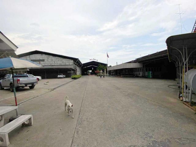 ขายโรงงานใกล้ตลาดจรูญทรัพย์ บางบัวทอง พร้อมเครื่องจักรพร้อมใบประกอบ พร้อมใบอนุญาตดำเนินกิจการโรงงานดำเนินการตามปกติ