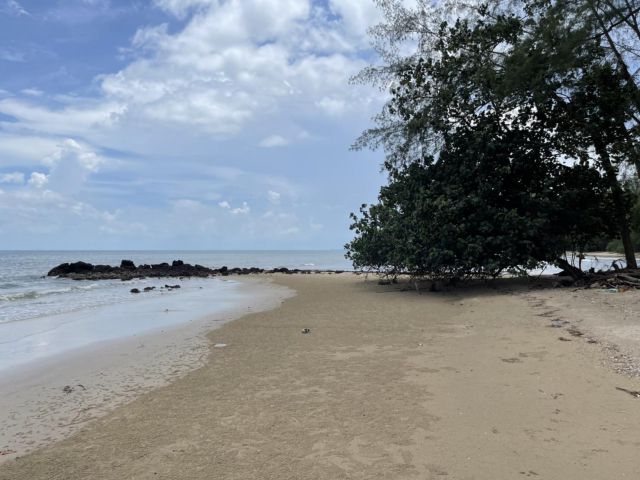 ขายที่ดินสวยริมหาด จ.ตราด 39 ไร่ พึ่งสร้างถนนภายในใหม่ เดินทางสะดวก เหมาะทำรีสอร์ท บ้านพัก มีสวนผลไม้หลายชนิดมากถึง 600