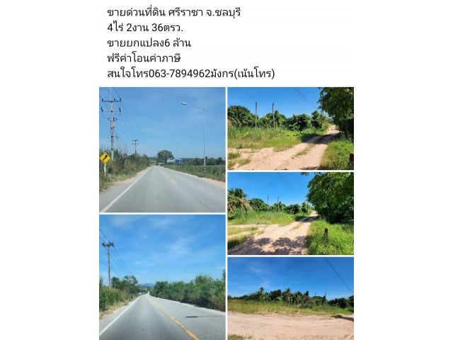 ขายด่วนที่ดิน ศรีราชา จ.ชลบุรี 4ไร่ 2งาน 36ตรว. ขายยกแปลง6 ล้าน ฟรีค่าโอนค่าภาษี สนใจโทร063-7894962มังกร(เน้นโทร)