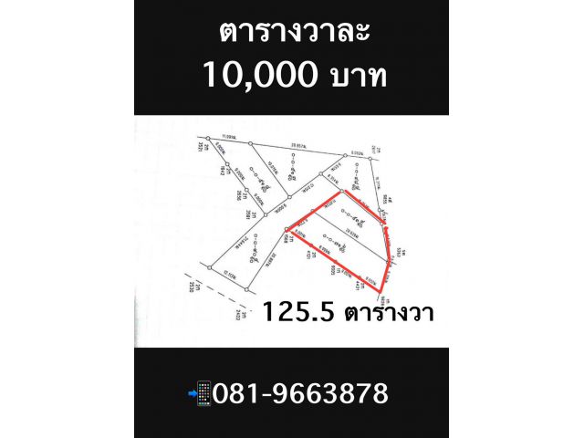 ที่ดิน จอหอ โคราช 125.5 ตร.วา