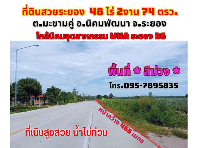 ขายที่ดินระยอง 48-2-74ไร่ มะขามคู่ อ.นิคมพัฒนา พื้นที่ *สีม่วง* ใกล้นิคมอุตสาหกรรม WHA ระยอง 36