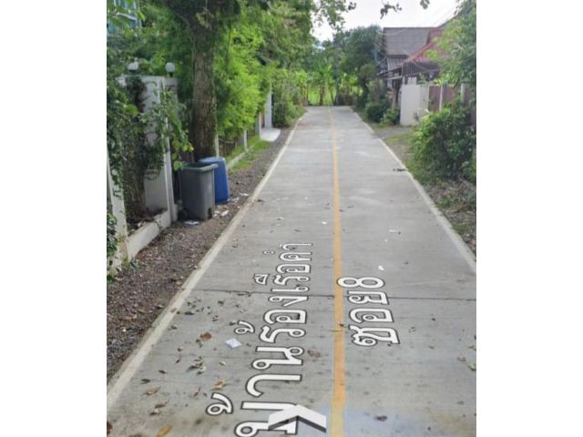 ขายที่ดินบ้านร้องเรือนคำตำบลป่าแดดโฉนดพร้อมโอน