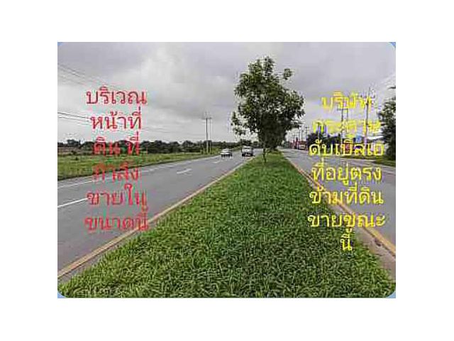 ที่ดินสวย ชัยภูมิ ติดถนน 159  เมตร พิเศษ  ไร่ละ 6 แสนกว่าบาท