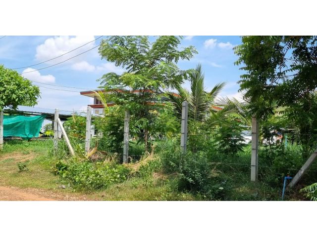 ขายที่ดิน8ไร่3ตรว
