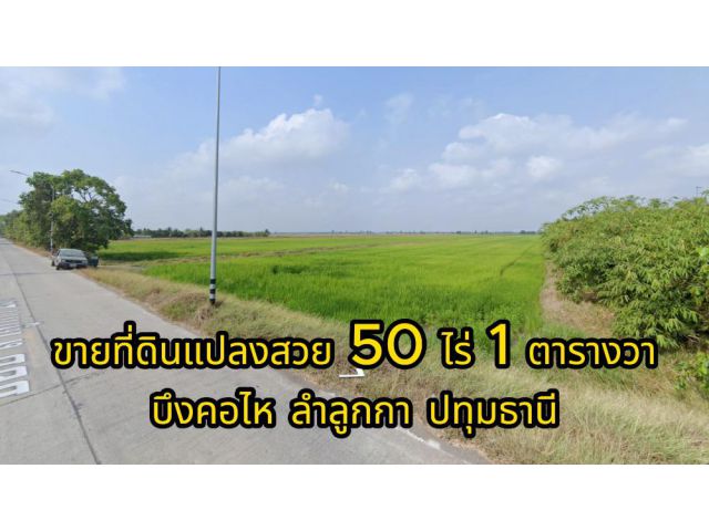 ขาย ที่ดิน บึงคอไห ลําลูกกา ปทุมธานี 50 ไร่ 1 ตารางวา สนใจโทร 091-9393-951