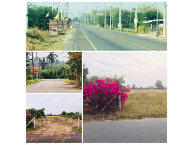 ++ขายที่ดินเสมอถนน 1ไร่ 2งานกว่าเขตชุมชนใกล้ตลาด/รพ.ยุพราช/ม.ราชภัฏ
