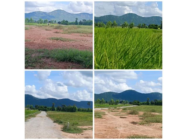 ที่วิวเขา 1 ไร่ ฟรีล้อมรั่ว หรือ ขุดบ่อปรับที่ดิน*