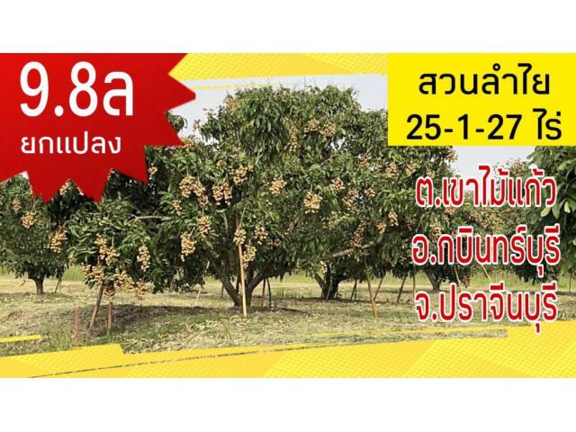ขาย ที่ดิน สวนลำไย หมู่บ้านสันดัน 25 ไร่ 1 งาน 27 ตร.วา