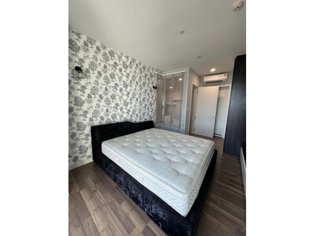 ให้เช่า คอนโด เดอะรูม สุขุมวิท 62 The Room Sukhumvit 62