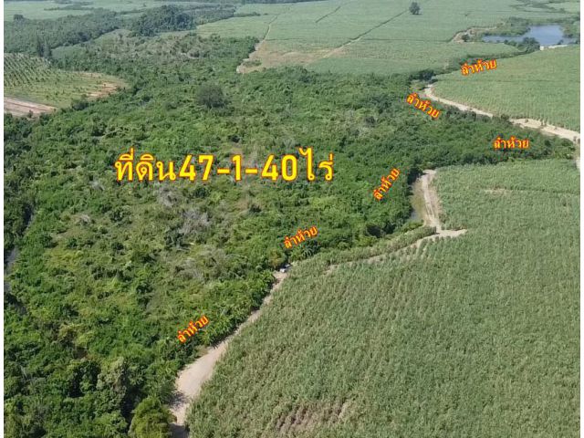 Vายที่ดิน 47-1-40 ไร่ เขาช่องลม ตำบลปากช่อง จอมบึง ราชบุรี ที่ดินเหมาะทำการเกษตร ปศุสัตว์ ติดลำห้วย ขายไร่ละ2.5แสน