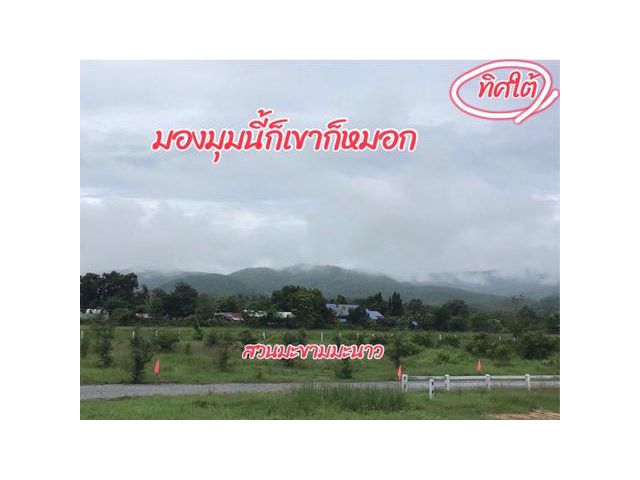 Vายที่ดินพร้อมสวนแบ่งขาย200วา-3ไร่ ติดภูเขาน้ำประปาไฟฟ้าพร้อม ที่ด่านช้าง สุพรรณบุรี