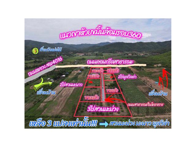Vายที่ดินพร้อมสวนแบ่งขาย200วา-3ไร่ ติดภูเขาน้ำประปาไฟฟ้าพร้อม ที่ด่านช้าง สุพรรณบุรี