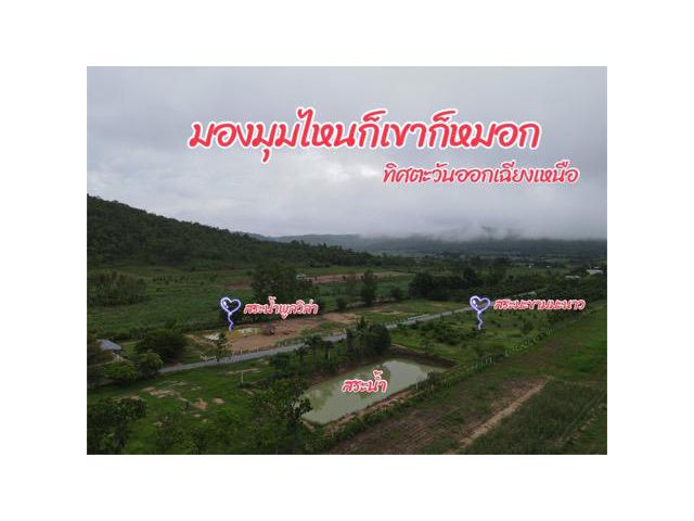 Vายที่ดินพร้อมสวนแบ่งขาย200วา-3ไร่ ติดภูเขาน้ำประปาไฟฟ้าพร้อม ที่ด่านช้าง สุพรรณบุรี