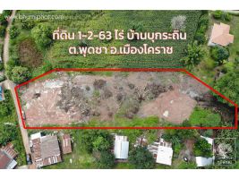 ที่ดินในชุมชน 1-2-63 ไร่ ต.พุดซา ติดถนน-น้ำ-ไฟ ใกล้บาสพาส