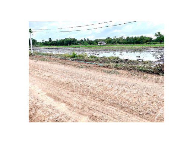 ขาย ที่ดิน ~ TP - POM 0088
~ คลอง 6 คลองหลวง ปทุมธานี 1 ไร่