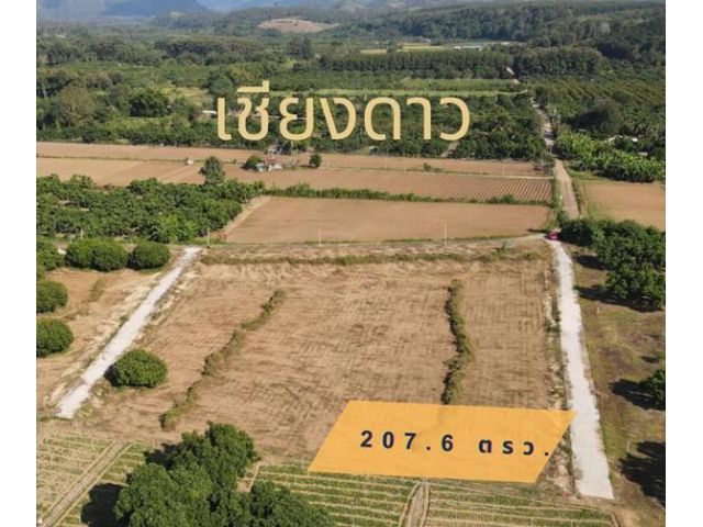 โฉนดครุฑแดง 207.6 ตรว. @เชียงดาว เมืองแห่งขุนเขาและสายหมอก วิวสวย ดอยหลวง