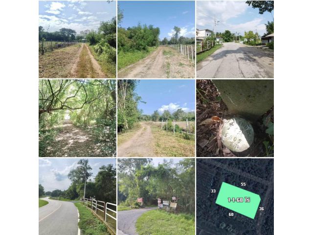 ขายถูกที่ดิน 1-1-68 ไร่ เหมืองแก้ว อ.แม่ริม เชียงใหม่