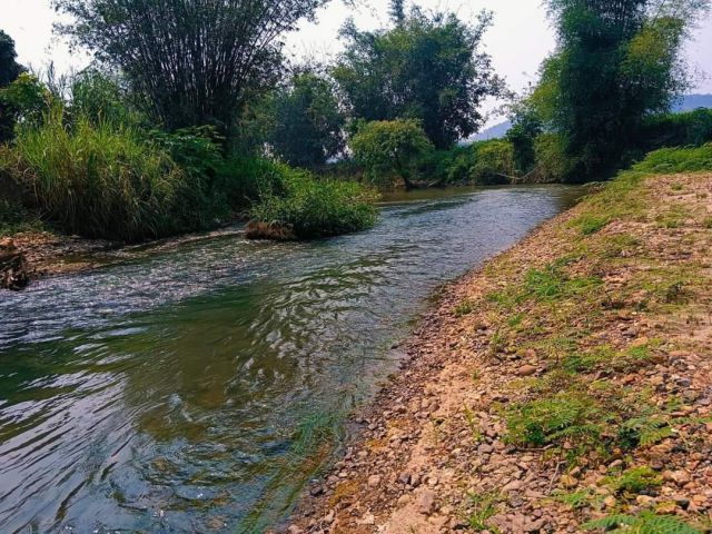 ขายที่ดินติดลำธารน้ำล้อมรอบน้ำวิวดอยหลวงเชียงดาวโฉนด