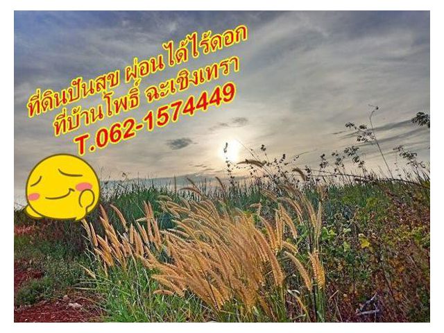 ออมที่ดินไว้เป็นสินทรัพย์ที่ดินผ่อนได้ไร้ดอก บ้านโพธิ์ฉะเชิงเทรา ที่ดินปันสุขทำเลดีผ่อนได้ใกล้ตลาดคลองสวน 100.ปี T.062-1