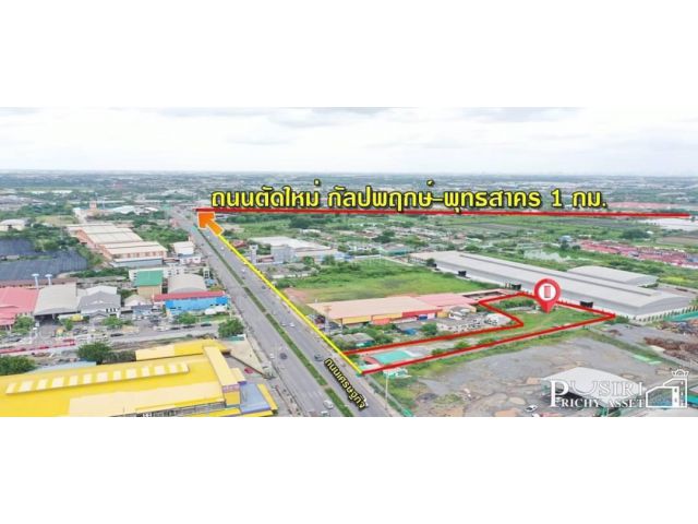 ขายที่สวยถมแล้วทำเลสุดปังระดับ5ดาว เนื้อที่ 983.1 ตรว. ติดถนนเศรษฐกิจ ใกล้ถนนตัดใหม่ กัลปพฤกษ์ ในราคาคุ้มค่า - KK1398S