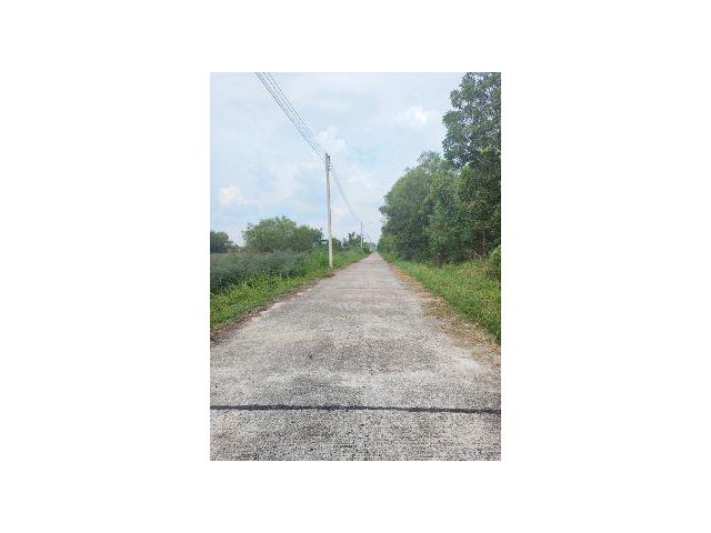 ให้เช่า ที่ดิน 
~ TP - POM 0089
~ คลอง 10 บึงบา หนองเสือ ปทุมธานี 200 ตร.วา