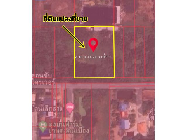 ขายด่วนที่ดิน เลียบคลองหก คลองหลวง- ปทุมธานี