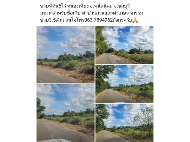 ขายที่ดิน5ไร่ หนองเหียง อ.พนัสนิคม จ.ชลบุรี เหมาะสำหรับซื้อเก็บ ทำบ้านสวนและทำเกษตรกรรม ขาย3.5ล้าน สนใจโทร063-7894962