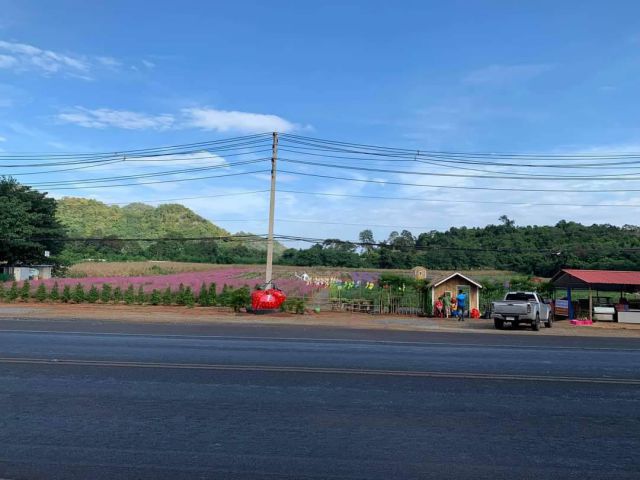 ขายที่ดินติดถนนธนะรัชต์ ทางขึ้นเขาใหญ่ 19 ไร่ หมูสี โฉนดครุฑแดงเจ้าของเดิม ที่ดินหน้ากว้างติดถนนธนะรัชต์ 200 ม. เหมาะทำก