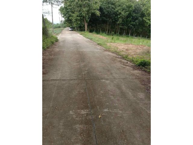 ที่ดินเขาตะแบกใกล้สะพานกระจกศรีราชา 13-2-08ไร่ ไร่ละ 1.8ล้าน ต.หนองขาม อ.ศรีราชา จ.ชลบุรี - ที่ดินหน้ากว้างติดถนน 46 เมตร วิวภูเขาสวยห่างจาก