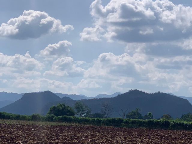 ที่ดินเขาใหญ่
