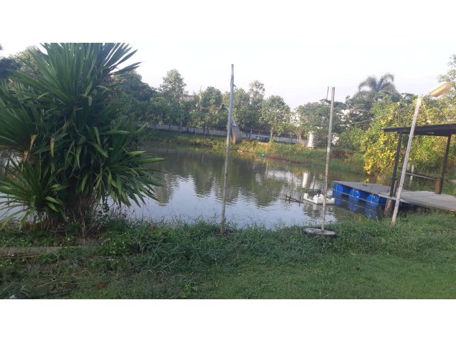 ด่วนๆๆ■■■■■ขายบ้านเดี่ยวหรู พื้นที่ใข้สอย 480 ตร.ม บนพื้นที่ดิน 2 ไร่ ติดคลอง มีบ่อใหญ่ในที่ดิน บรรยากาศดี■■■■■