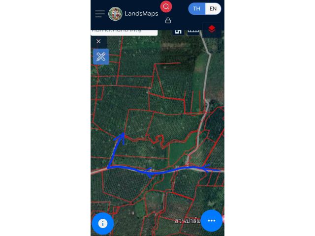 ขายที่ดินสวนปาล์มโฉนด 32 ไร่
