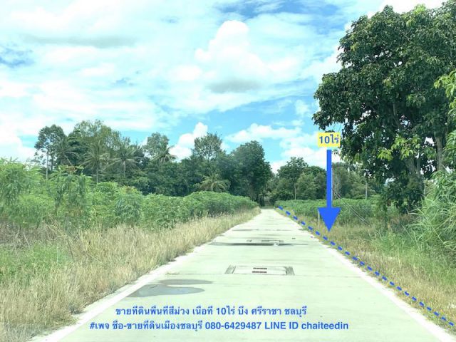 ###ขายที่ดินวังค้อเนื้อที่ 10ไร่ ตำบลบึง ศรีราชา ชลบุรี ใกล้นิคมปิ่นทอง ใกล้ตลาดบึงวรกิจ ที่ดินเหมาะพัฒนาอสังหาริมทรัพย์ ##